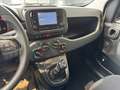 Fiat New Panda Panda 1.0 FireFly S&S Hybrid Bianco - thumbnail 17
