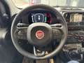 Fiat New Panda Panda 1.0 FireFly S&S Hybrid Bianco - thumbnail 12