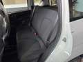 Fiat New Panda Panda 1.0 FireFly S&S Hybrid Bianco - thumbnail 20