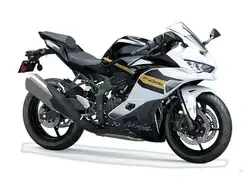 2026 Kawasaki Ninja ZX-4RR Motorcycles & ATVs for Sale in