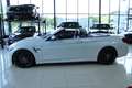 BMW M4 COMPETITION CABRIO 450PS LEDERPAKET CARBON ALU-20" Wit - thumbnail 4