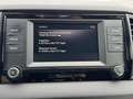 Skoda Karoq Active 1.Besitz CarPlay PDC SHZG SR WR Blau - thumbnail 19