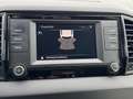Skoda Karoq Active 1.Besitz CarPlay PDC SHZG SR WR Blau - thumbnail 15
