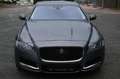 Jaguar XF 20d 180PS Prestige Automatik Grau - thumbnail 10