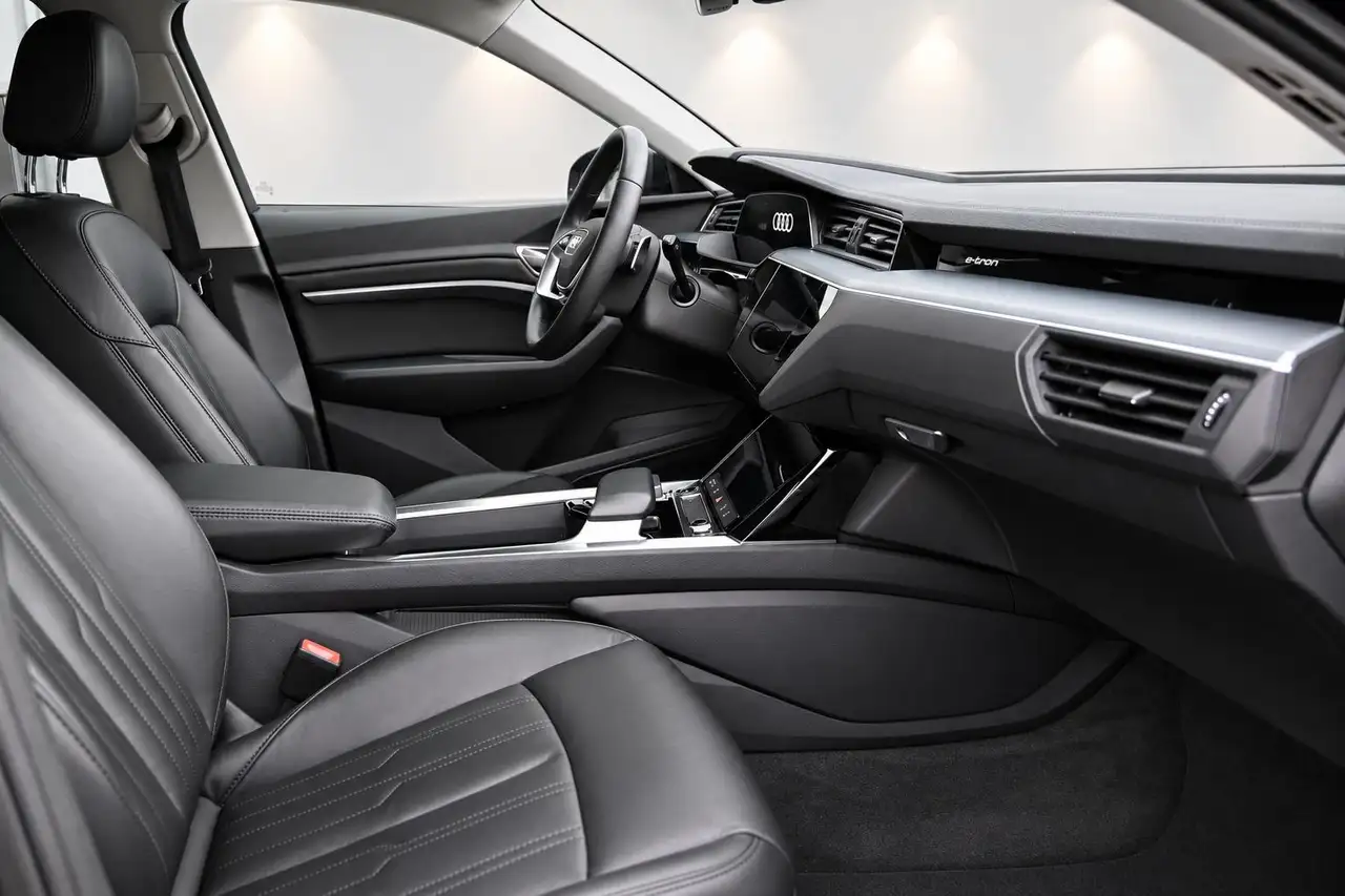 Audi e-tron 55 quattro edition 95 kWh 22 Inch, Camera, Black P, миниатюра 16