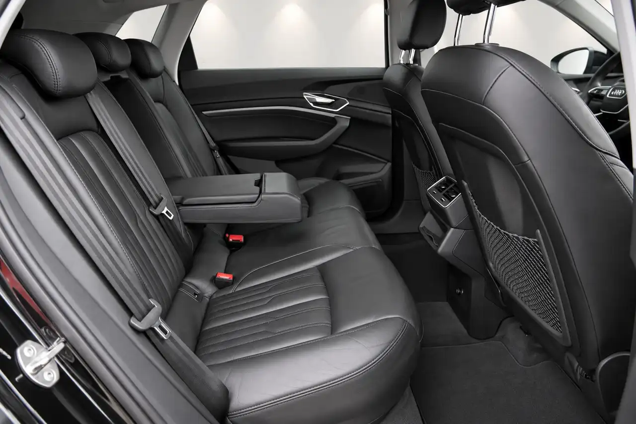 Audi e-tron 55 quattro edition 95 kWh 22 Inch, Camera, Black P, миниатюра 17