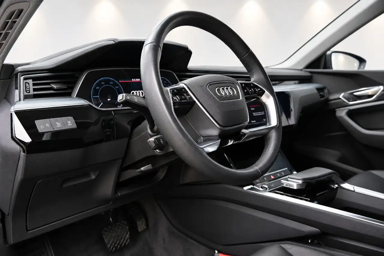 Audi e-tron 55 quattro edition 95 kWh 22 Inch, Camera, Black P, миниатюра 3