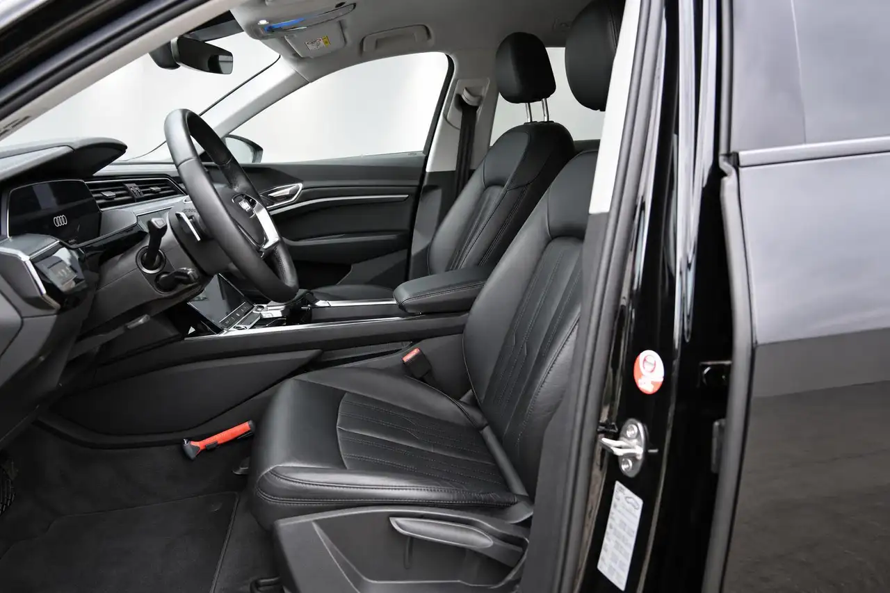 Audi e-tron 55 quattro edition 95 kWh 22 Inch, Camera, Black P, миниатюра 5