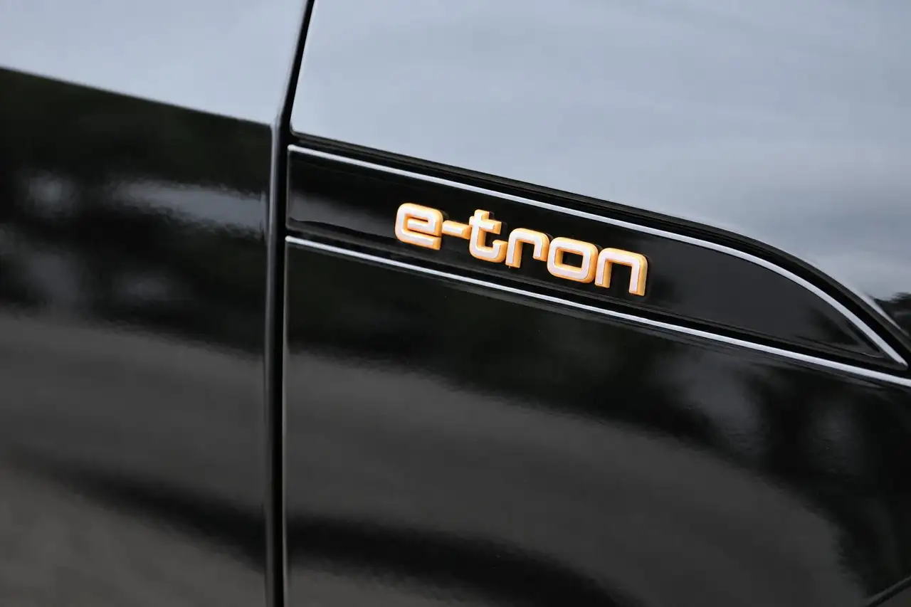 Audi e-tron 55 quattro edition 95 kWh 22 Inch, Camera, Black P, миниатюра 26