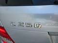 Mercedes-Benz C 250 C 250 T CGI BlueEfficiency (204.247) Grau - thumbnail 7
