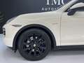 Porsche Cayenne S Hybrid Blanco - thumbnail 45