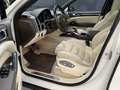 Porsche Cayenne S Hybrid Blanco - thumbnail 11