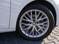 SEAT Leon 1.5 Style KLIMA PDC SHZ NAVI FACEL. PANO Weiß - thumbnail 5