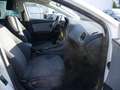 SEAT Leon 1.5 Style KLIMA PDC SHZ NAVI FACEL. PANO Weiß - thumbnail 2