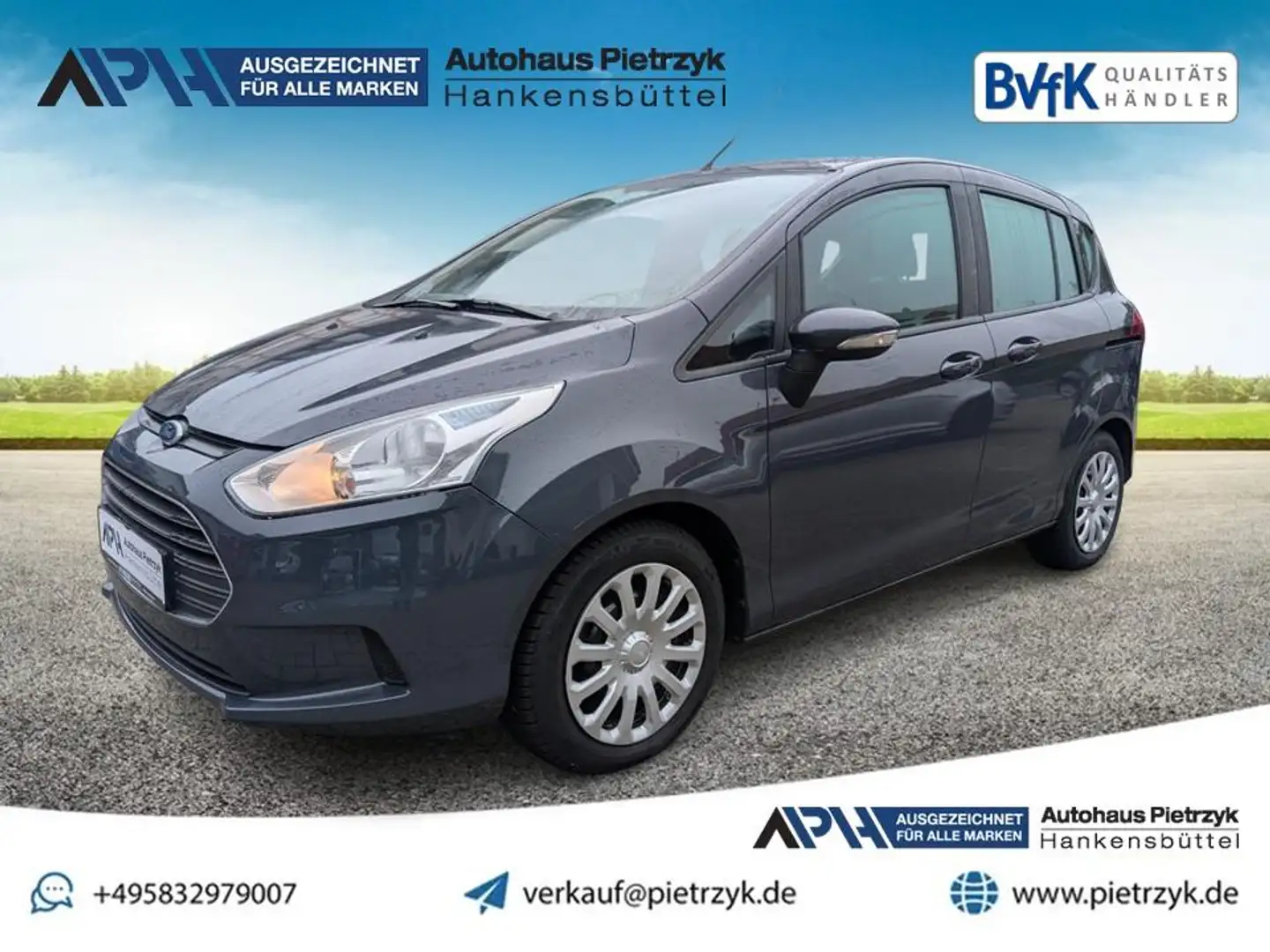 Ford B-Max Trend Gris - 1