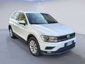 Volkswagen Tiguan 2.0 TDI Business 150 CV DSG Weiß - thumbnail 3