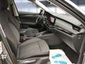 Skoda Octavia Combi Style*AHK*Kamera Gris - thumbnail 16