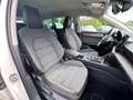 SEAT Leon Sportstourer Xcellence 1.5 TGI DSG Kamera ACC LED Weiß - thumbnail 5