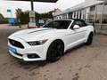 Ford Mustang "Deutsches Modell" Weiß - thumbnail 2