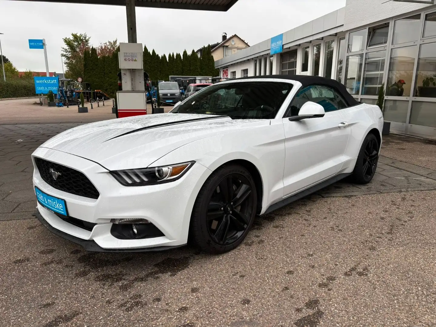 Ford Mustang "Deutsches Modell" Weiß - 2