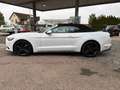 Ford Mustang "Deutsches Modell" Weiß - thumbnail 3