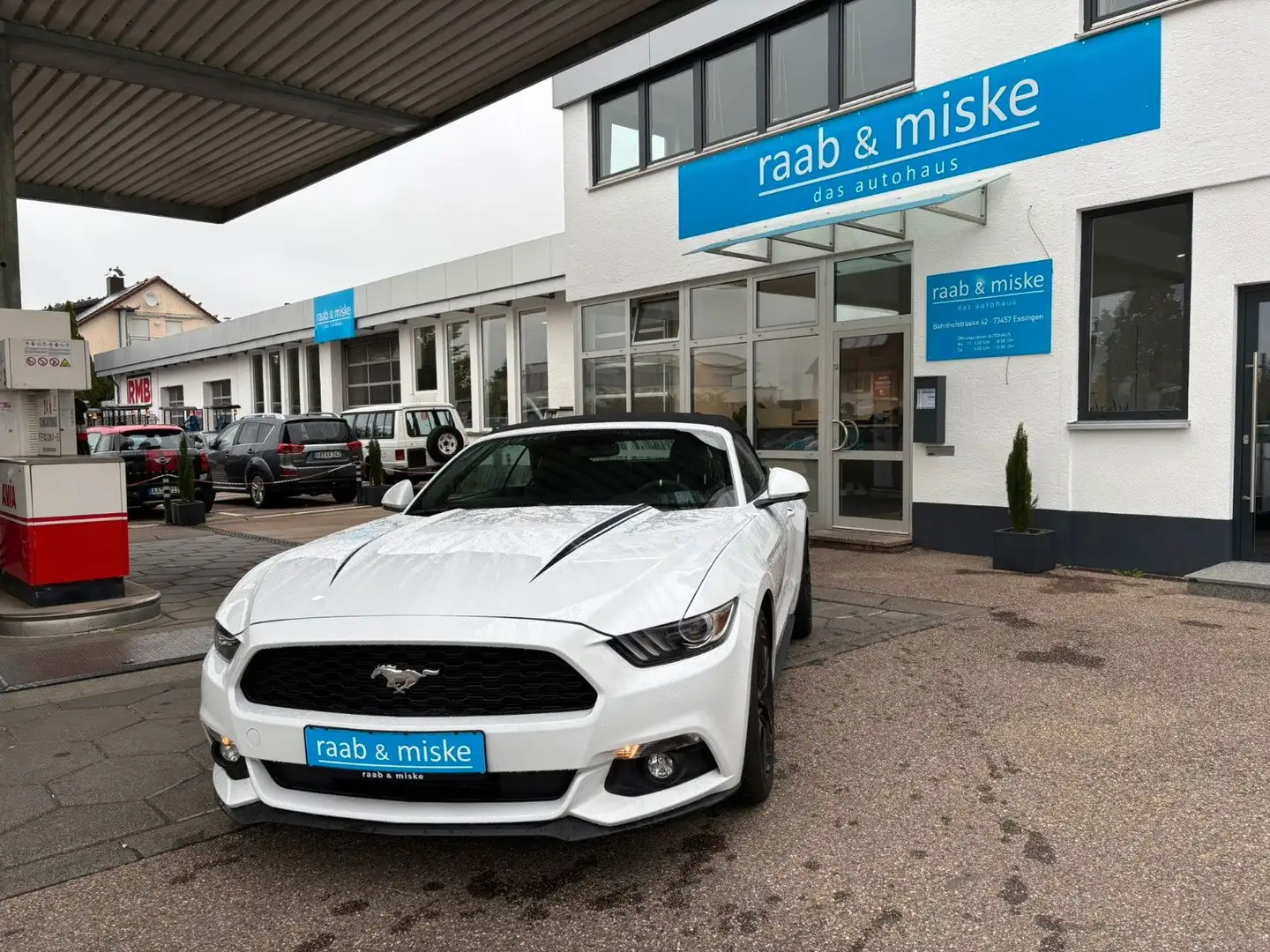 Ford Mustang "Deutsches Modell" Weiß - 1