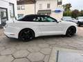 Ford Mustang "Deutsches Modell" Weiß - thumbnail 7