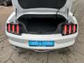 Ford Mustang "Deutsches Modell" Weiß - thumbnail 13