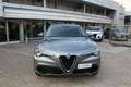 Alfa Romeo Stelvio 2.0 Turbo 280 CV AT8 Q4 First Edition Grigio - thumbnail 8