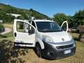 Fiat Fiorino Fehér - thumbnail 10
