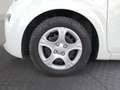 Kia Picanto 1,0 MPI Caritas Wit - thumbnail 13