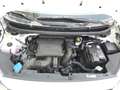 Kia Picanto 1,0 MPI Caritas Wit - thumbnail 19