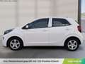 Kia Picanto 1,0 MPI Caritas Wit - thumbnail 2