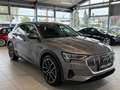 Audi e-tron 55 quattro 95kWh Business*Keyless*Spur*Totwinke... Grau - thumbnail 4