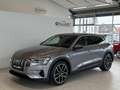 Audi e-tron 55 quattro 95kWh Business*Keyless*Spur*Totwinke... Grau - thumbnail 2