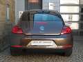 Volkswagen Beetle 1.2 TSI Design - sehr gepflegtes Fahrzeug Braun - thumbnail 7