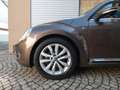 Volkswagen Beetle 1.2 TSI Design - sehr gepflegtes Fahrzeug Marrón - thumbnail 5