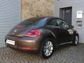 Volkswagen Beetle 1.2 TSI Design - sehr gepflegtes Fahrzeug Marrón - thumbnail 6