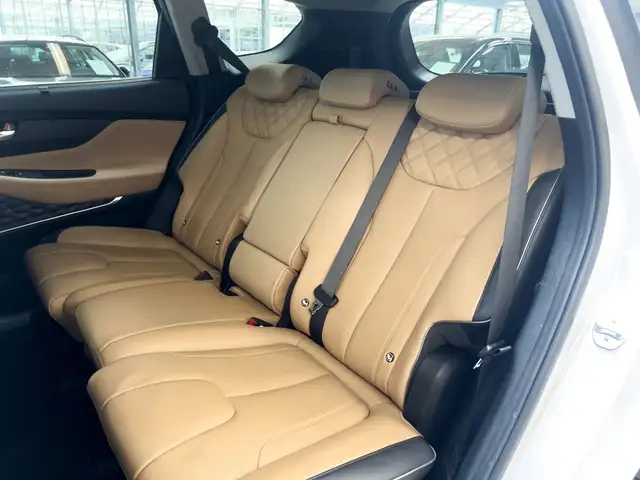 Hyundai Santa Fe view 15