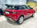 Land Rover Range Rover Evoque 2.2 sd4 Dynamic 190cv Rot - thumbnail 6
