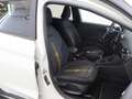 Ford Fiesta 1.0 EcoBoost Active | Winterpakket | Cruise Contro Wit - thumbnail 10