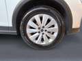 SEAT Arona 1.0 TSI 110 HP STYLE AUTOMATICA DSG NEOPATENTATI Bianco - thumbnail 7