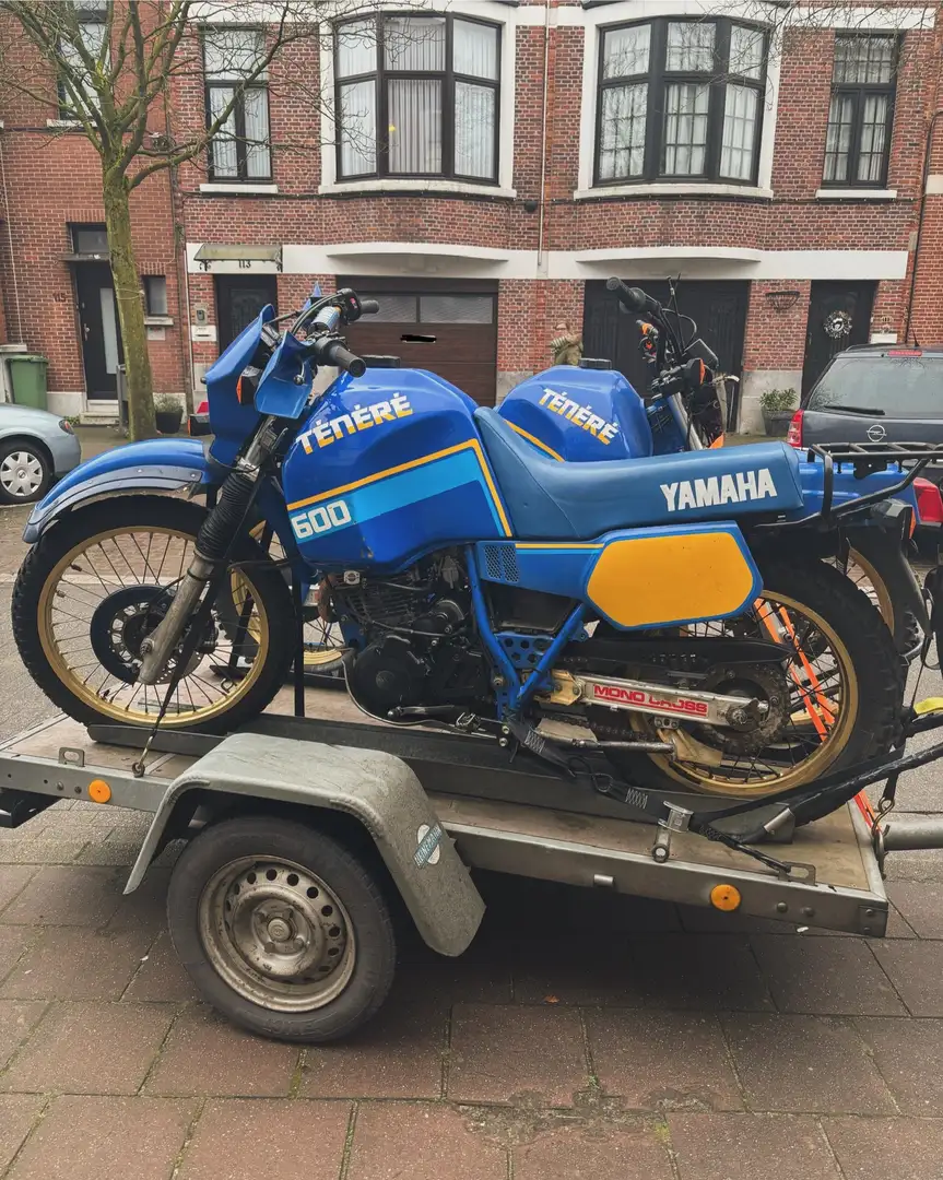 Yamaha XT 600 Tenere 600 1vj Bleu - 1