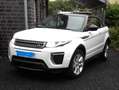 Land Rover Range Rover Evoque Range Rover Evoque Cabrio TD4 SE Dynamic White - thumbnail 3