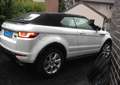Land Rover Range Rover Evoque Range Rover Evoque Cabrio TD4 SE Dynamic White - thumbnail 1