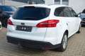 Ford Focus Turnier - Sitzheizung - Anhängerkupplung Weiß - thumbnail 4