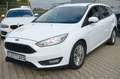 Ford Focus Turnier - Sitzheizung - Anhängerkupplung Weiß - thumbnail 1