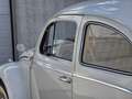 Volkswagen Käfer 11 Beige - thumbnail 11