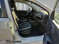 Hyundai i10 Trend 1.0 (MY25) Klimaanlage Navigation Rückfahrka Alb - thumbnail 12