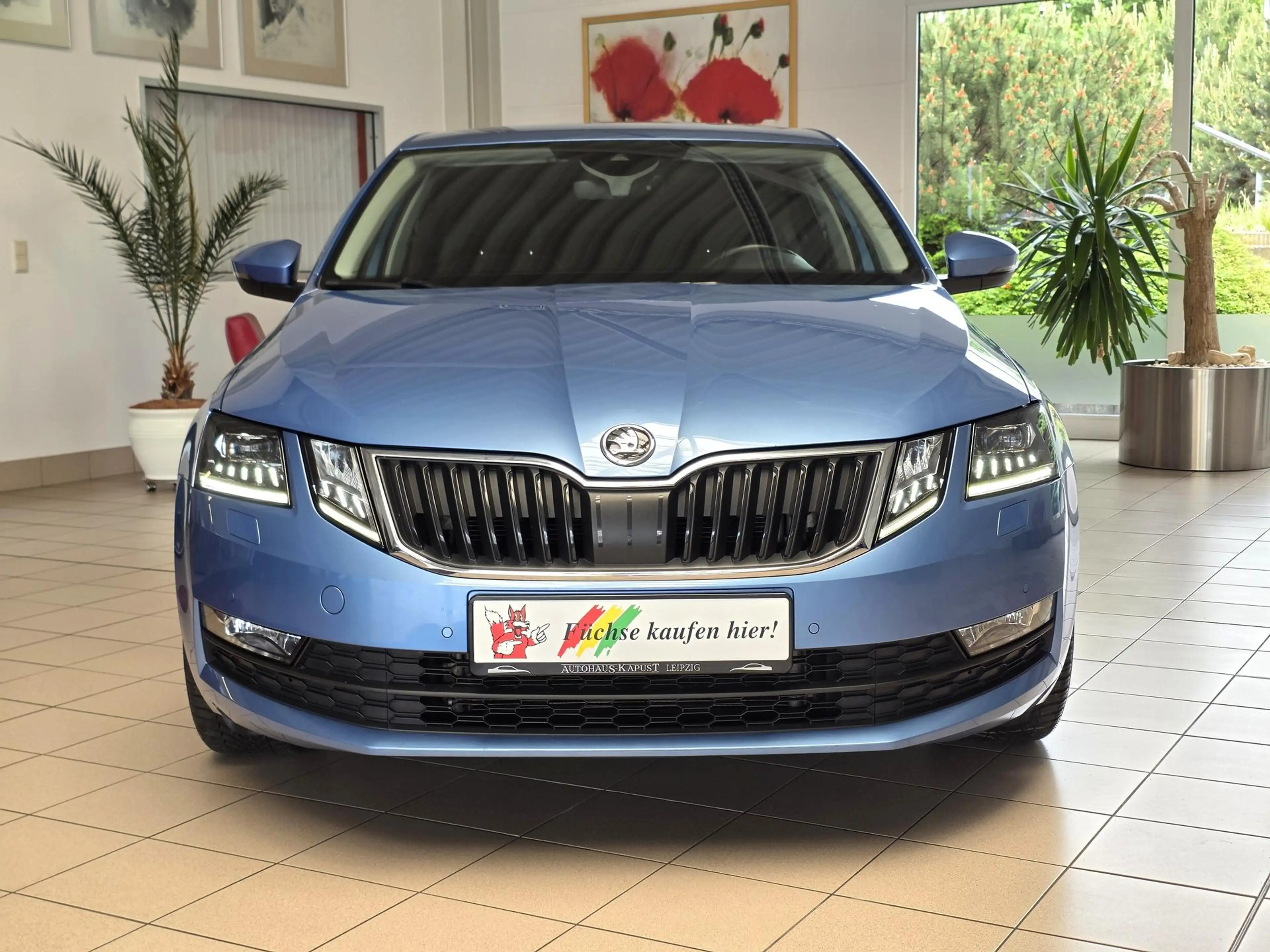 Skoda Octavia Octavia Lim. DSG Drive 150/LED/Navi/DAB/Cam/Ahk — photo 2
